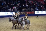 Quadrille - 00842